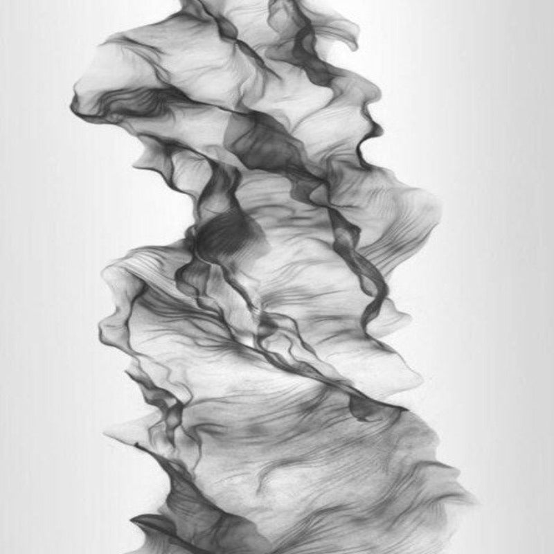 Elegant Monochrome Abstract Canvas Art for Modern Spaces