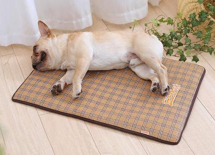 Cooling Pet Mat for Summer – Comfortable and Refreshing