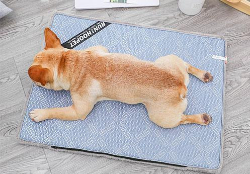 Cooling Pet Mat for Summer – Comfortable and Refreshing