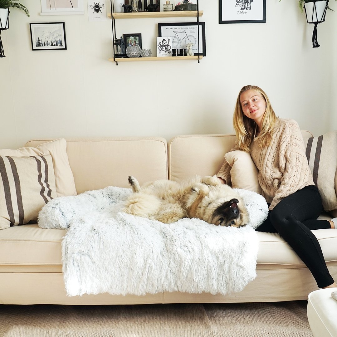 Washable, Warm, and Waterproof Autumn Cushion for Your Dog