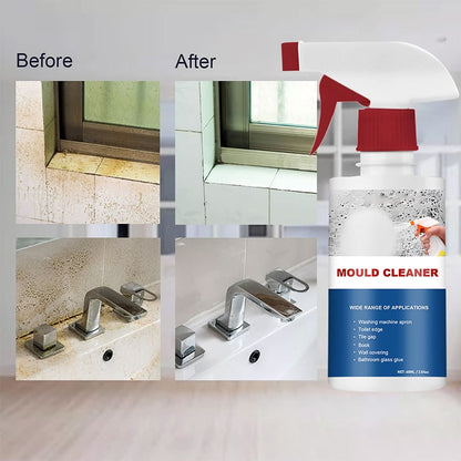 Rapid Action Mold Eliminator Spray for Stubborn Stains