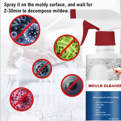 Rapid Action Mold Eliminator Spray for Stubborn Stains