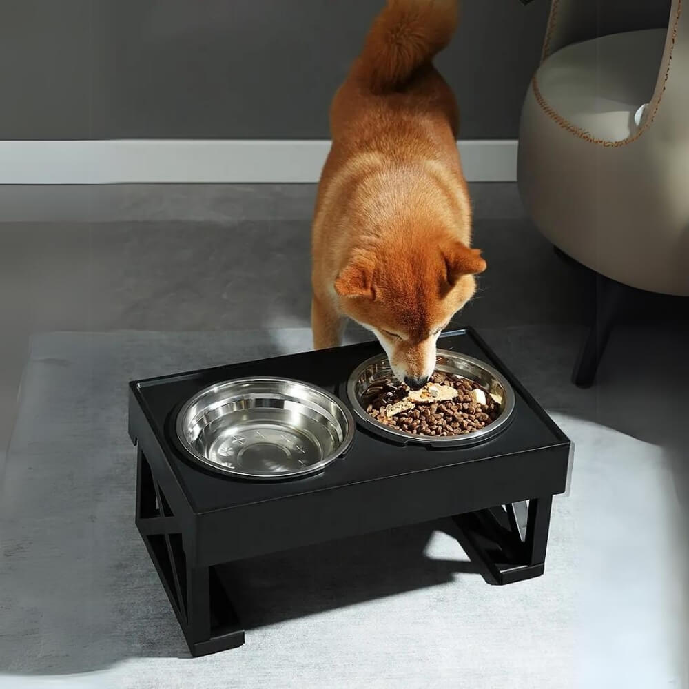 Elevated Dog Bowl for Healthy Meals – Ergonomic Slow Feeder