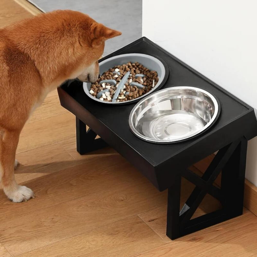 Elevated Dog Bowl for Healthy Meals – Ergonomic Slow Feeder