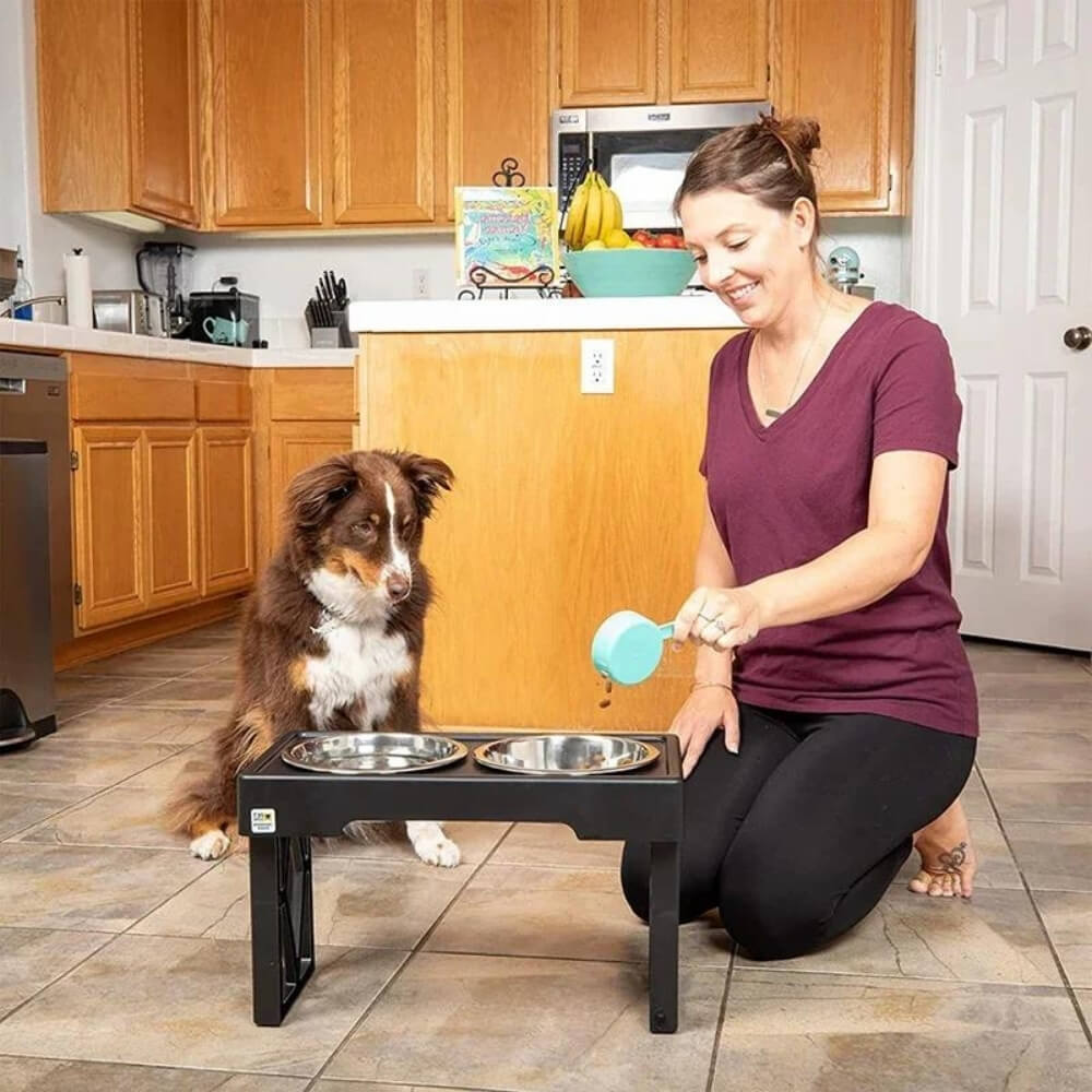 Elevated Dog Bowl for Healthy Meals – Ergonomic Slow Feeder