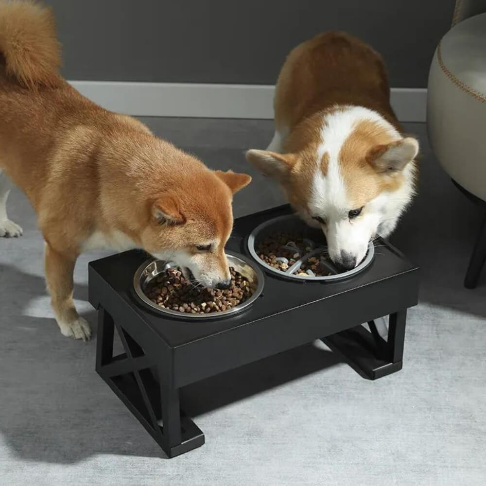 Elevated Dog Bowl for Healthy Meals – Ergonomic Slow Feeder