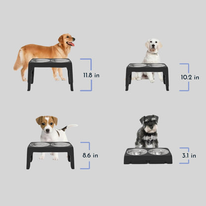 Elevated Dog Bowl for Healthy Meals – Ergonomic Slow Feeder