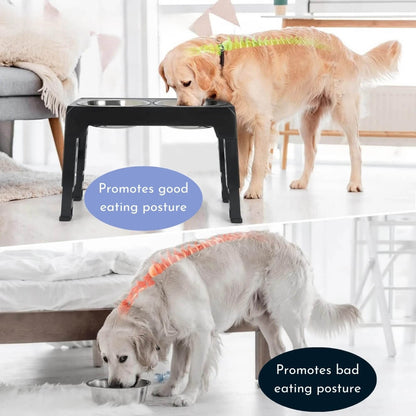 Elevated Dog Bowl for Healthy Meals – Ergonomic Slow Feeder