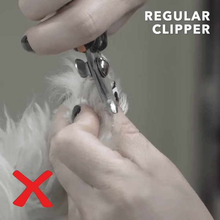 Ultra-Quiet Professional Pet Nail Grinder 2.0 for Dogs and Cats UK