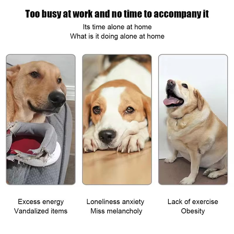 Hands-Free Dog Ball Launcher for Automatic Playtime