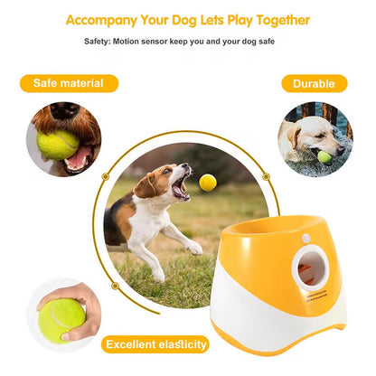 Hands-Free Dog Ball Launcher for Automatic Playtime