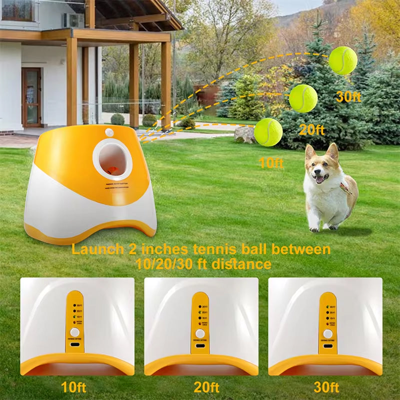 Hands-Free Dog Ball Launcher for Automatic Playtime