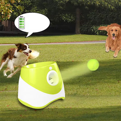 Hands-Free Dog Ball Launcher for Automatic Playtime