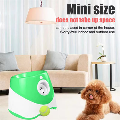 Hands-Free Dog Ball Launcher for Automatic Playtime