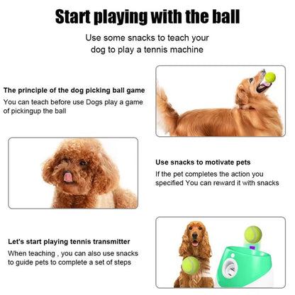 Hands-Free Dog Ball Launcher for Automatic Playtime