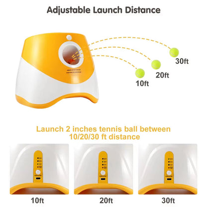 Hands-Free Dog Ball Launcher for Automatic Playtime