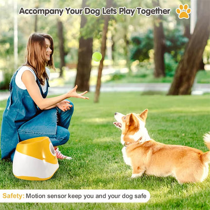 Hands-Free Dog Ball Launcher for Automatic Playtime