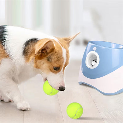 Hands-Free Dog Ball Launcher for Automatic Playtime