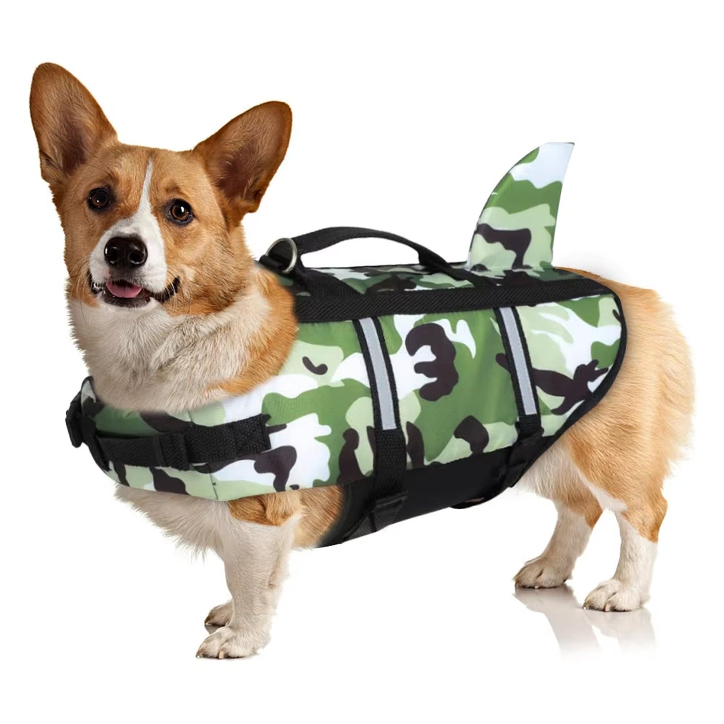 Dog Training Clicker for Positive Reinforcement