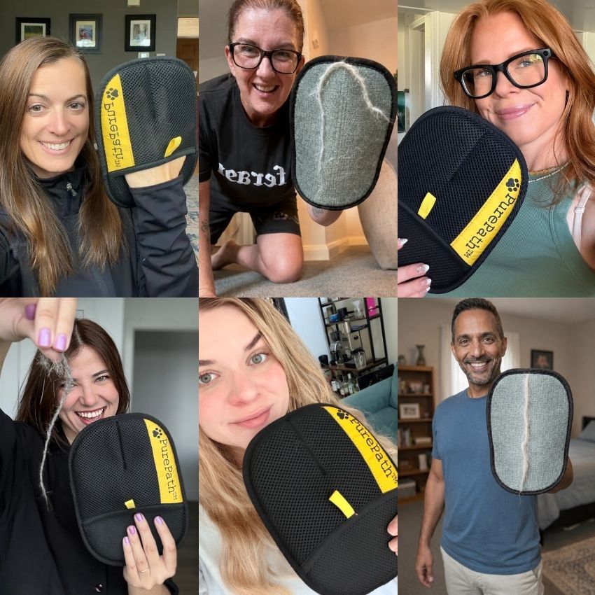 EquiClean Pro Glove: Effortless Horse Hair Removal