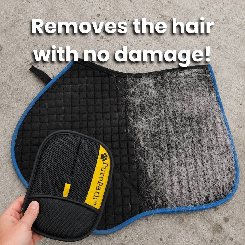 EquiClean Pro Horse Hair Removal Glove