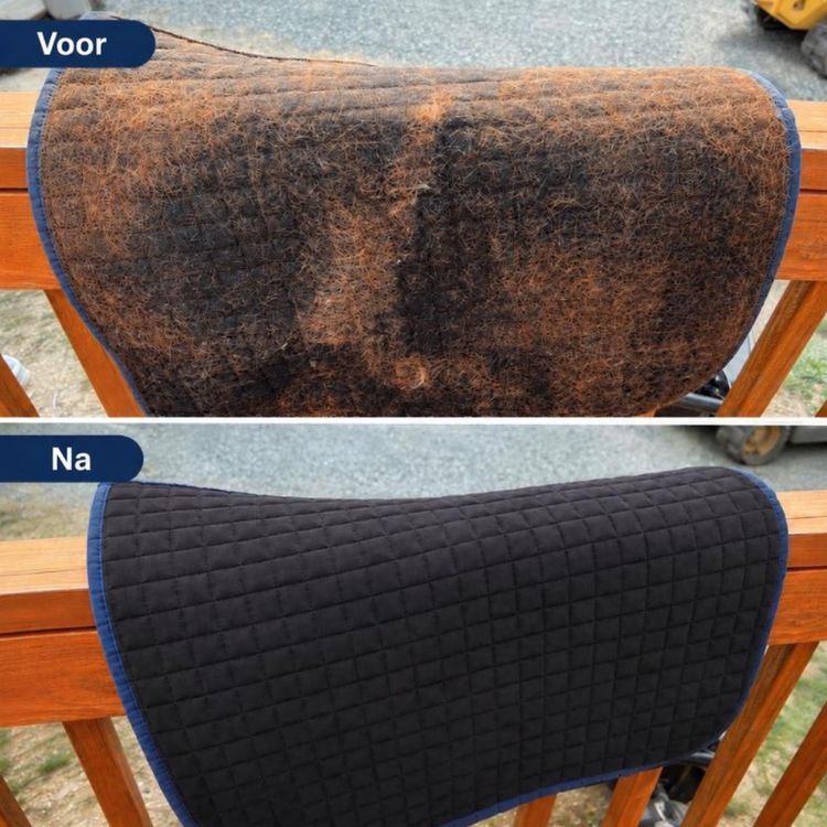 EquiClean Pro Horse Hair Removal Glove