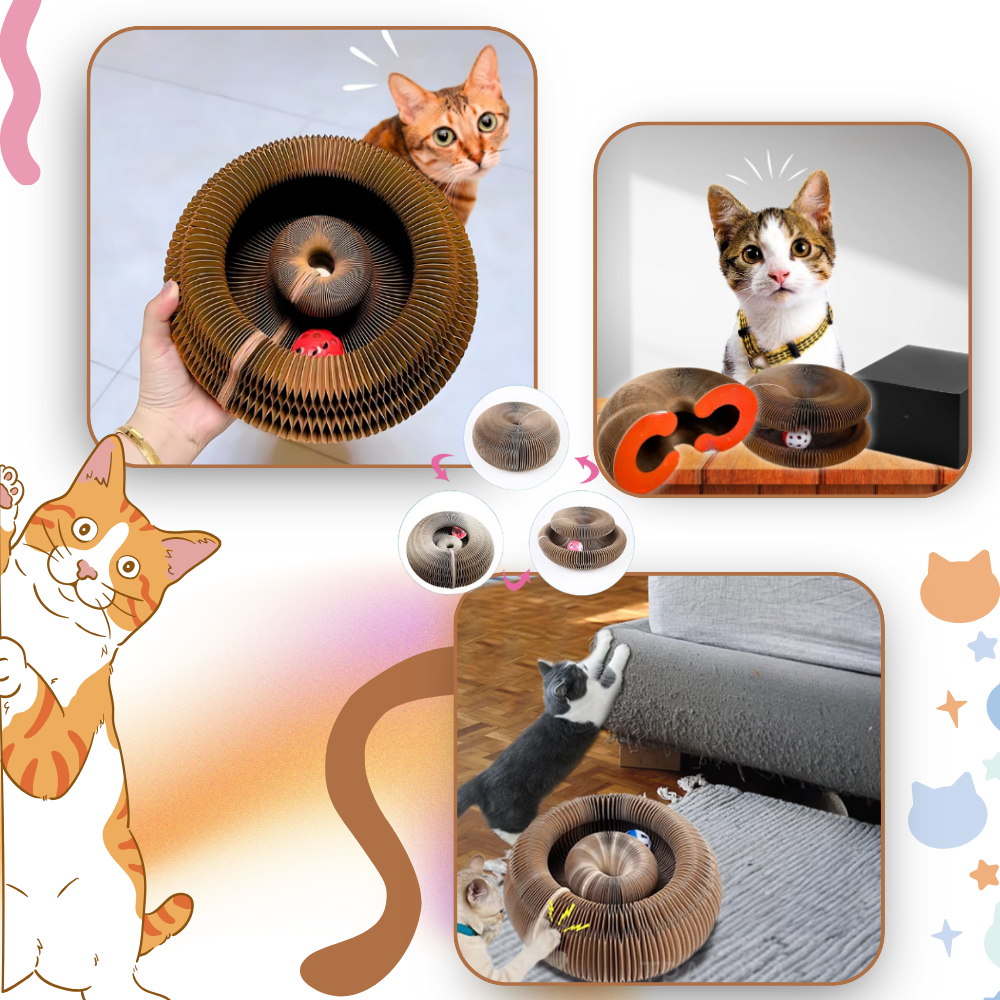 Cat Scratching Post for Ideal Stress Relief