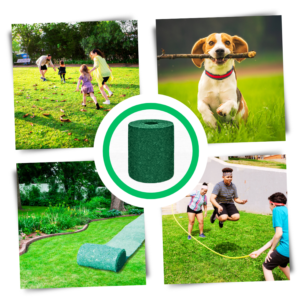 Quick Solution Green Grass Seed Mat