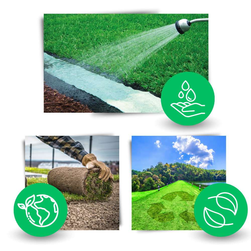 Quick Solution Green Grass Seed Mat