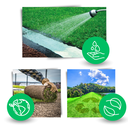 Quick Solution Green Grass Seed Mat