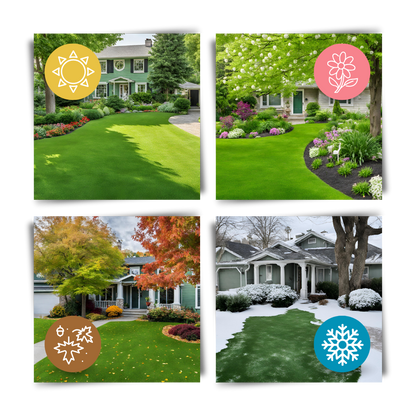 Quick Solution Green Grass Seed Mat