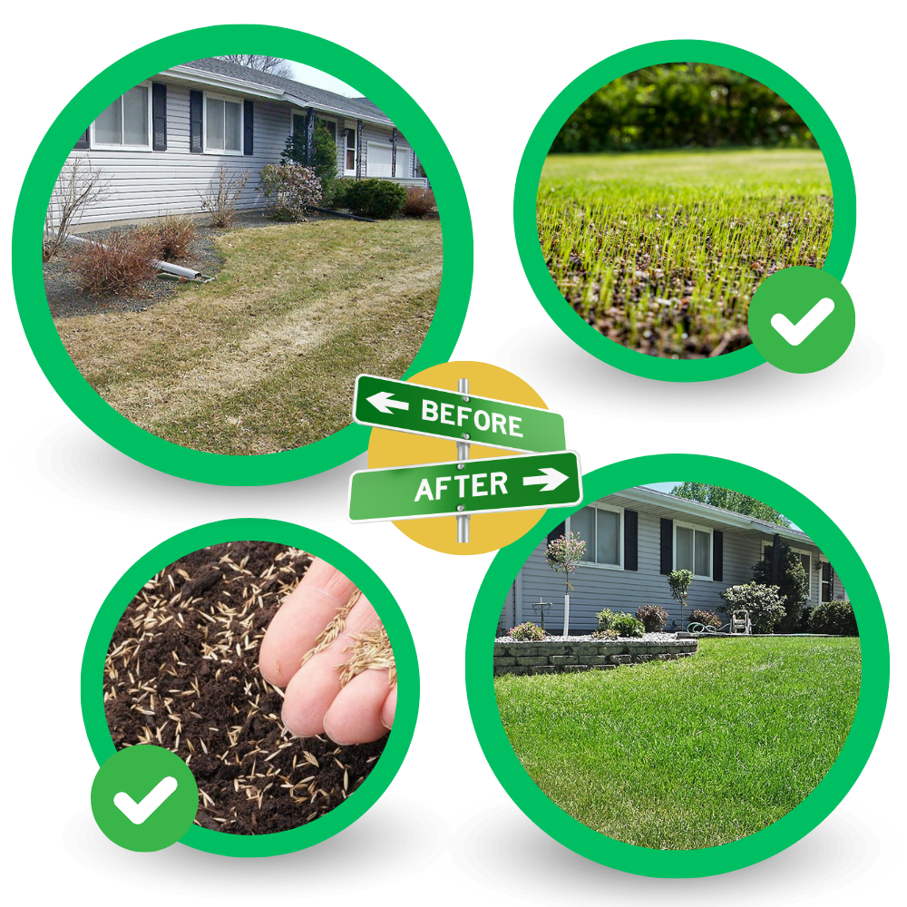 Quick Solution Green Grass Seed Mat