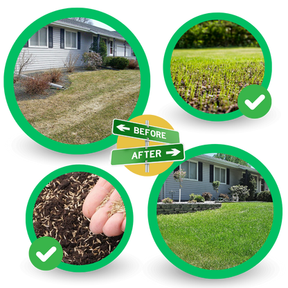 Quick Solution Green Grass Seed Mat