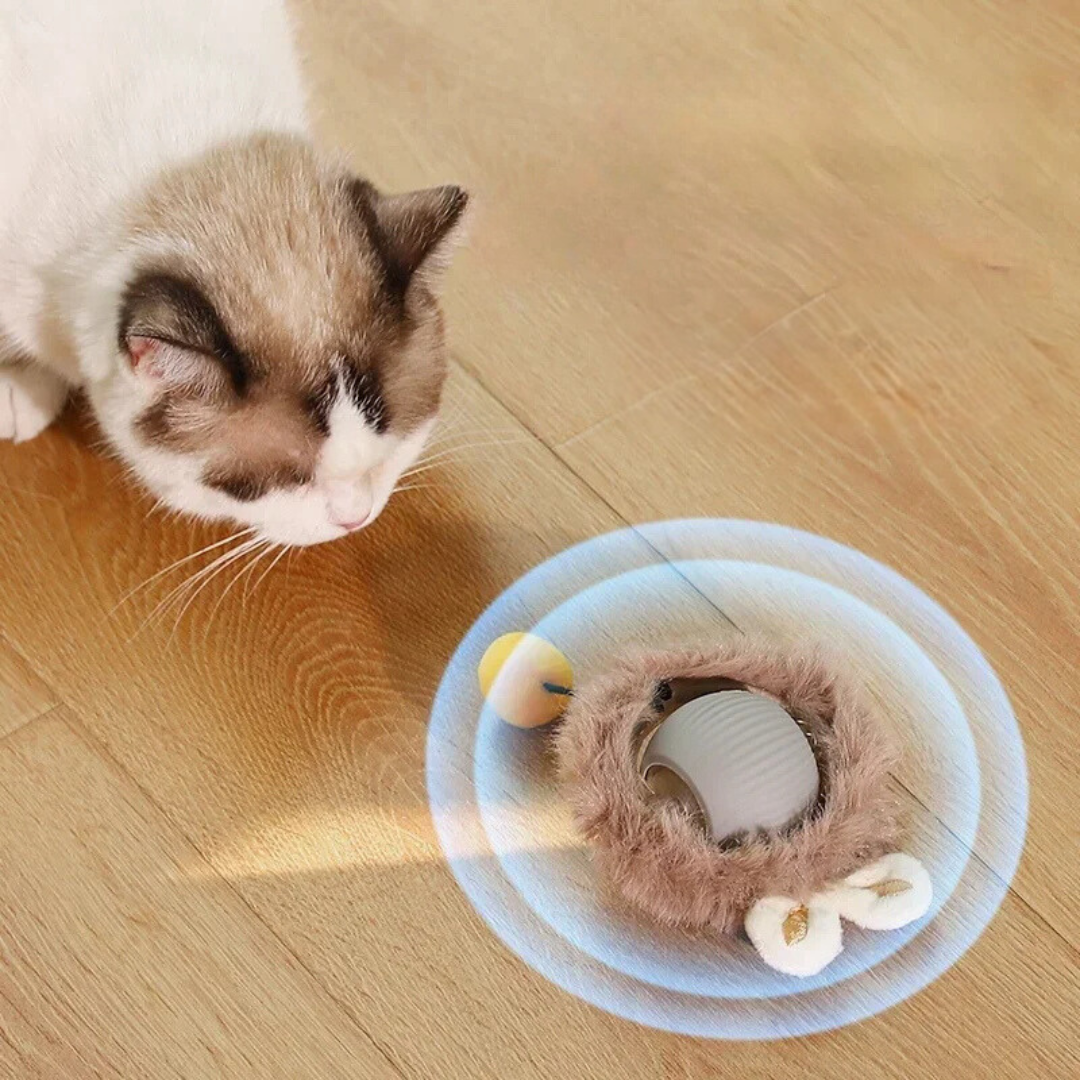 Interactive Indoor Cat Toy with Tail Movement for Playtime