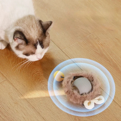 Interactive Indoor Cat Toy with Tail Movement for Playtime