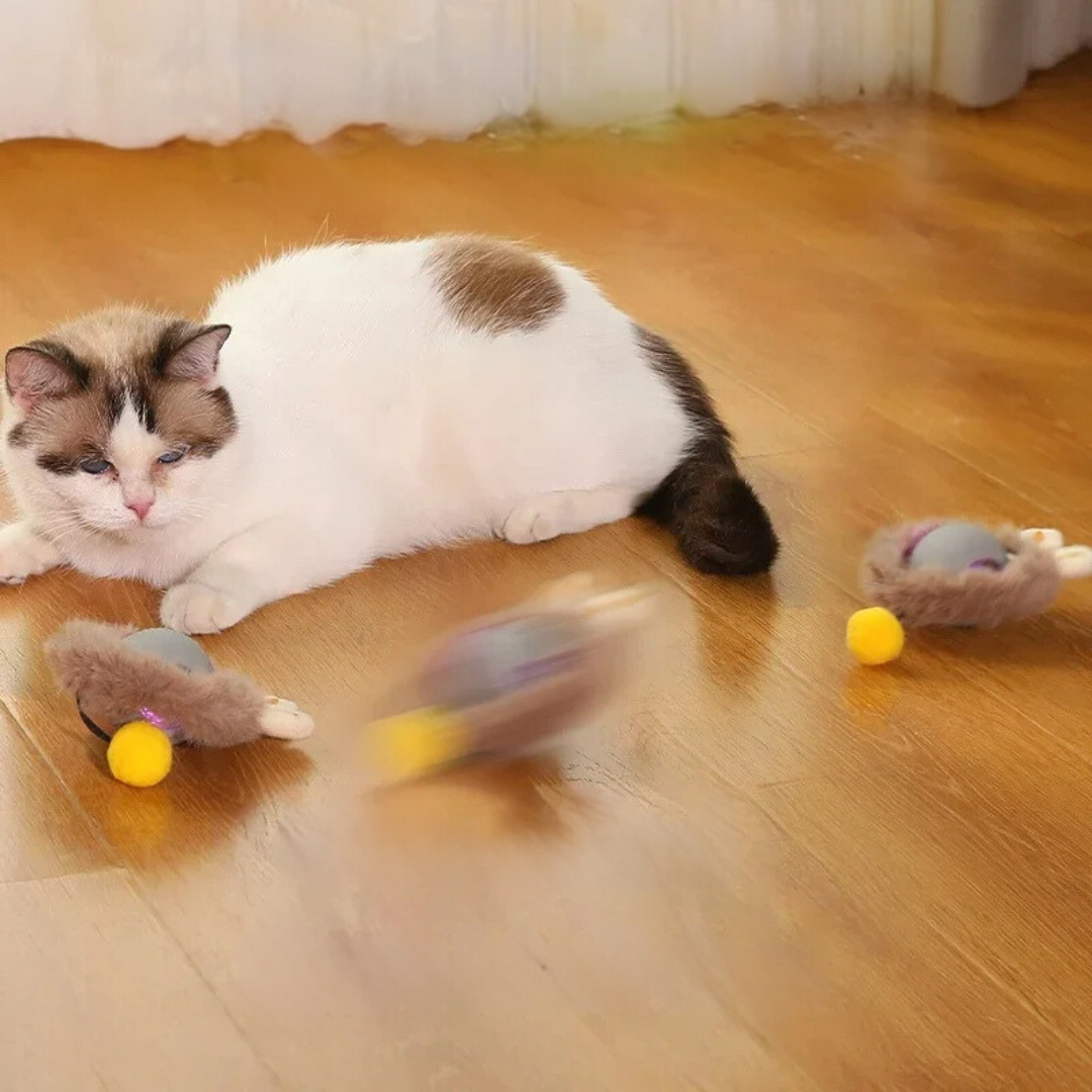 Interactive Indoor Cat Toy with Tail Movement for Playtime