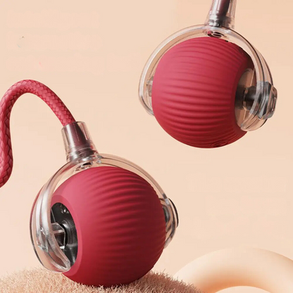 Interactive Indoor Cat Toy with Tail Movement for Playtime