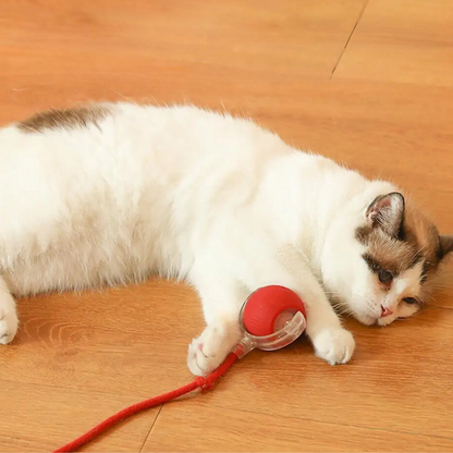 Interactive Indoor Cat Toy with Tail Movement for Playtime
