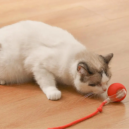 Interactive Indoor Cat Toy with Tail Movement for Playtime