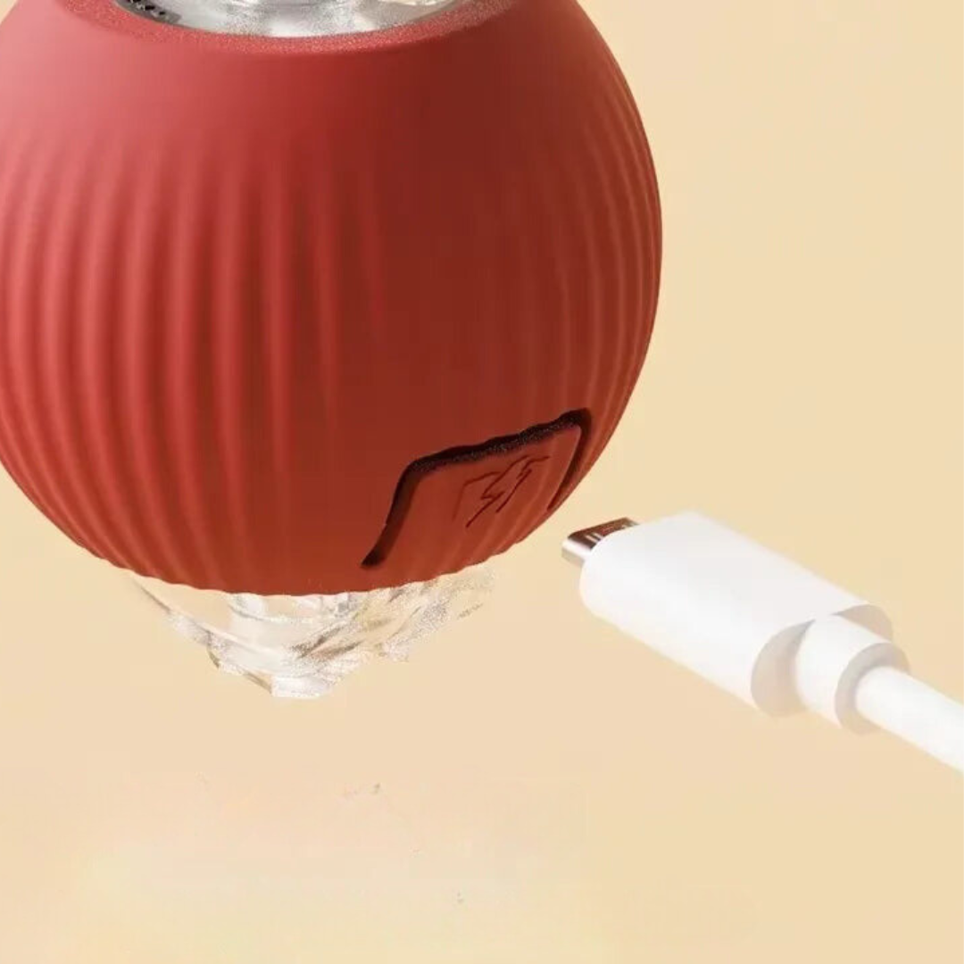 Interactive Indoor Cat Toy with Tail Movement for Playtime