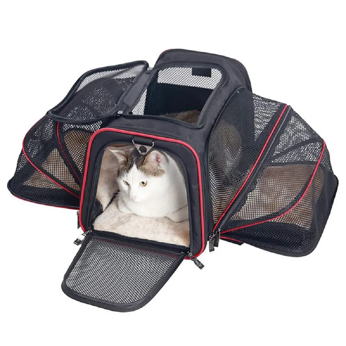 Foldable Dog Carrier with Safety Zipper – Breathable and Portable
