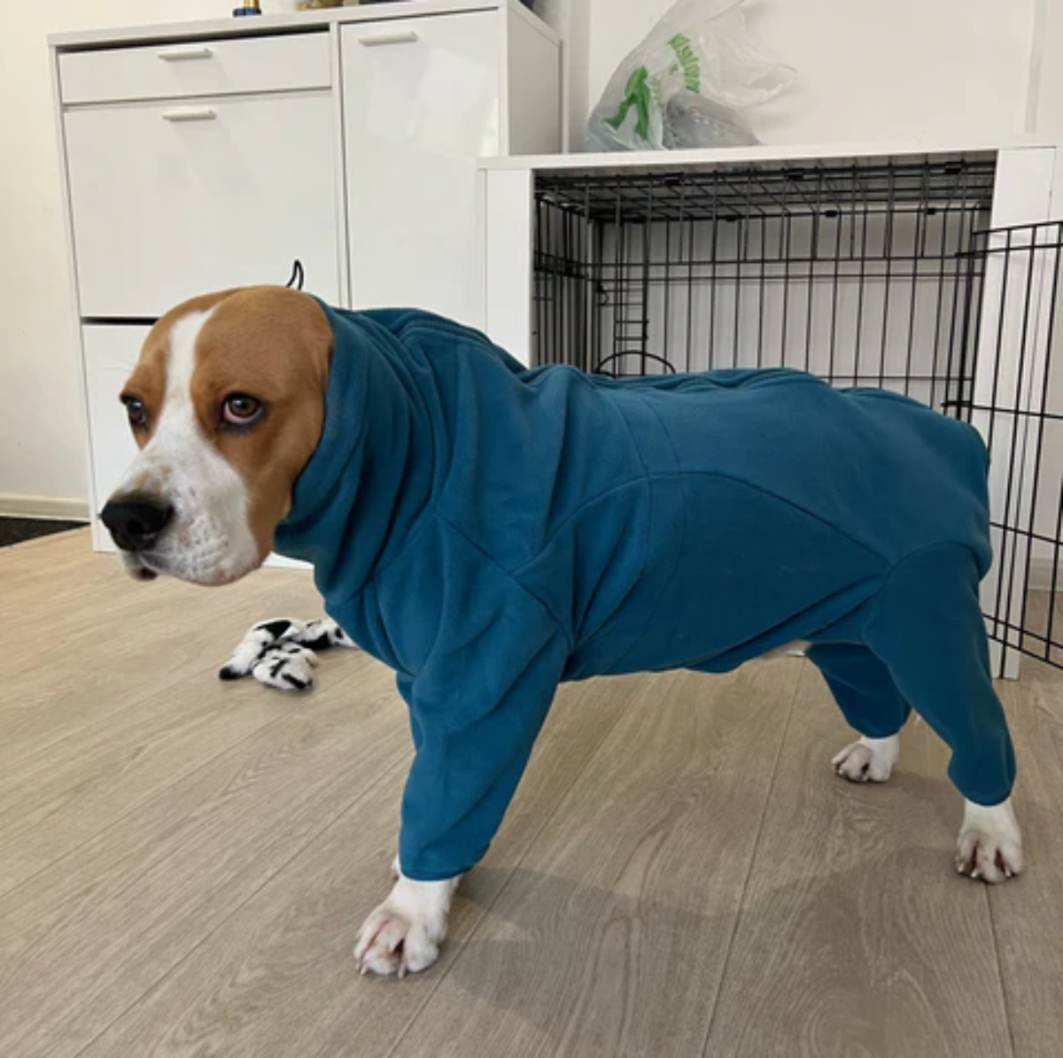Cozy Dog Jacket for Pets