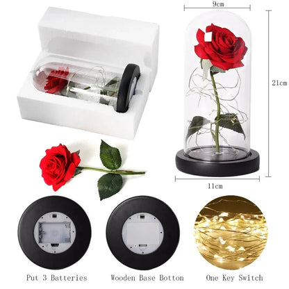 Glass Dome Display with Preserved Rose – Illuminated Home Decoration