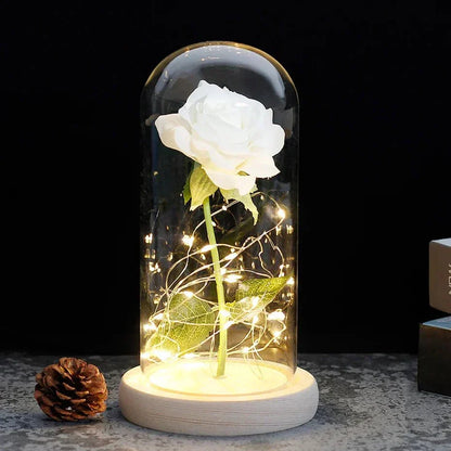 Glass Dome Display with Preserved Rose – Illuminated Home Decoration