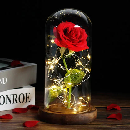 Glass Dome Display with Preserved Rose – Illuminated Home Decoration