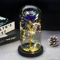 Purple steel gold black
