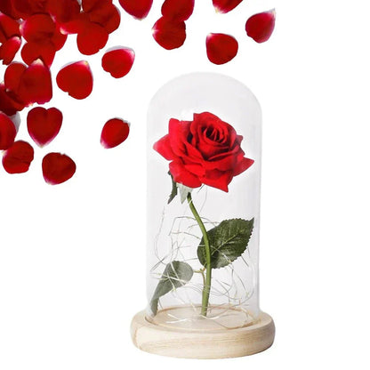 Glass Dome Display with Preserved Rose – Illuminated Home Decoration