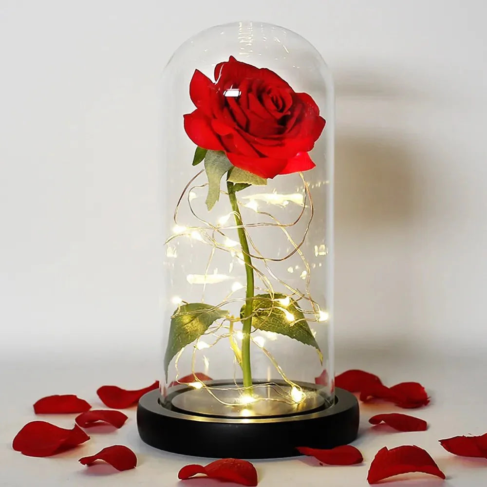 Glass Dome Display with Preserved Rose – Illuminated Home Decoration