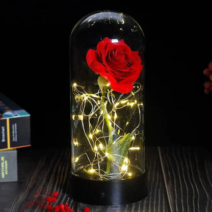 Glass Dome Display with Preserved Rose – Illuminated Home Decoration