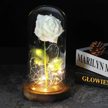 Glass Dome Display with Preserved Rose – Illuminated Home Decoration